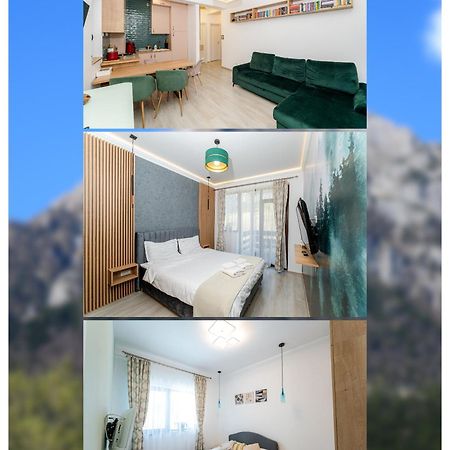 Cross Caraiman View 1 Apartman Szászbuda Kültér fotó