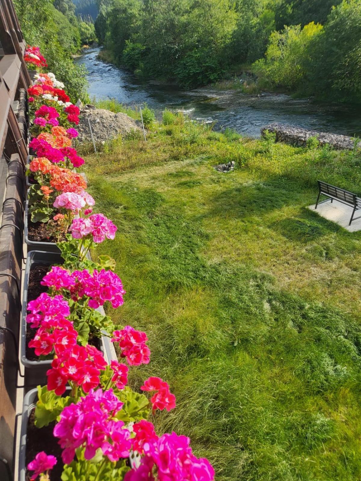 Cross Caraiman View 1 Apartman Szászbuda Kültér fotó