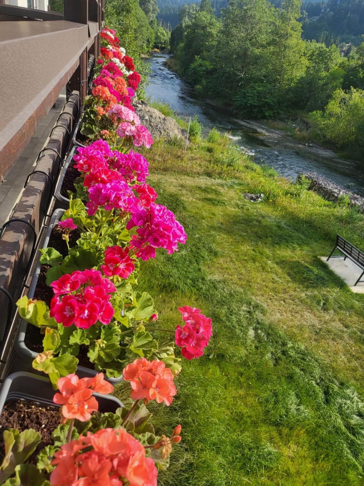 Cross Caraiman View 1 Apartman Szászbuda Kültér fotó